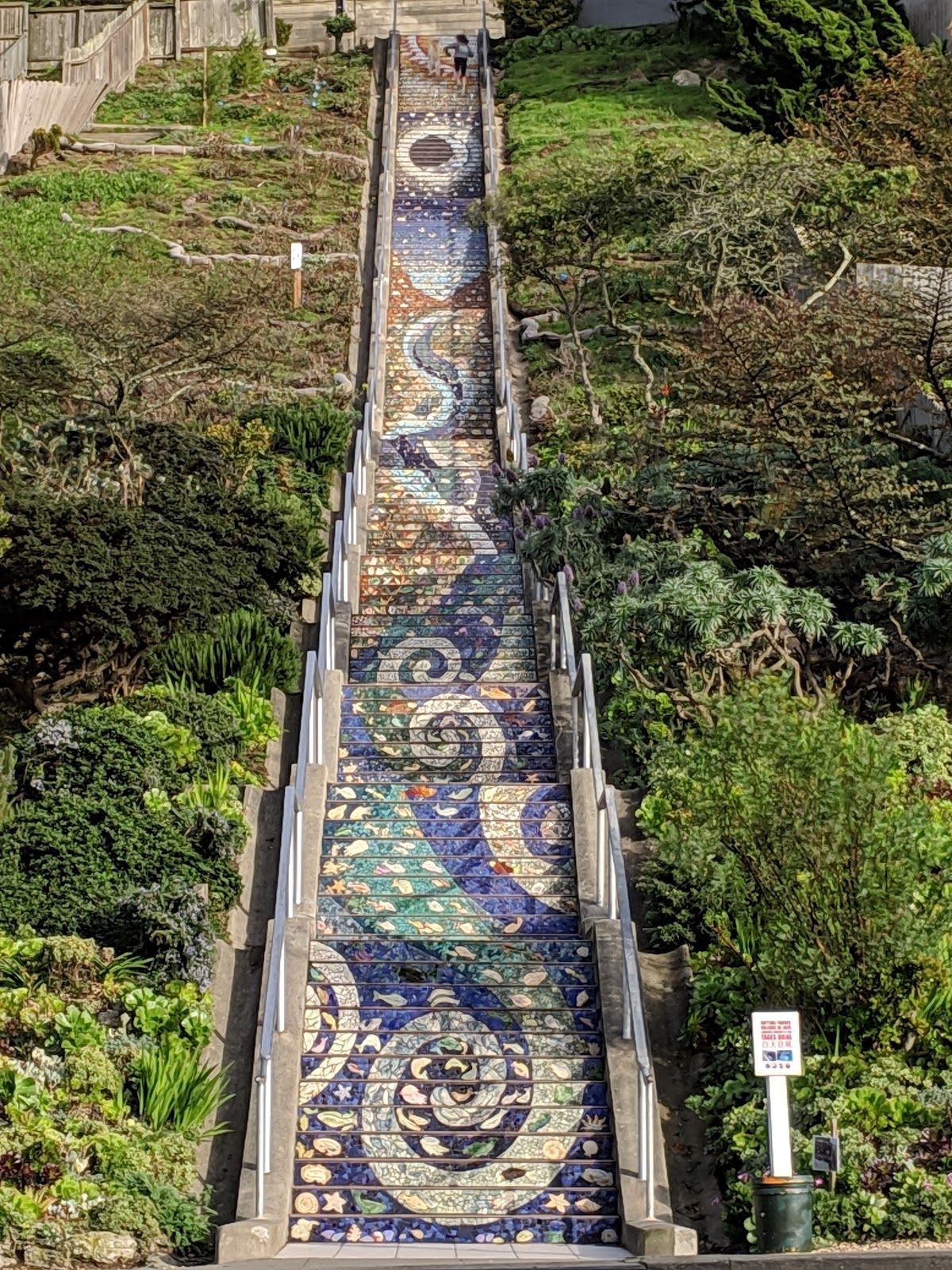 16th Avenue Tiled Steps