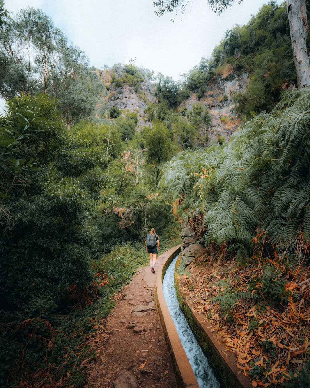 PR7 Levada do Moinho