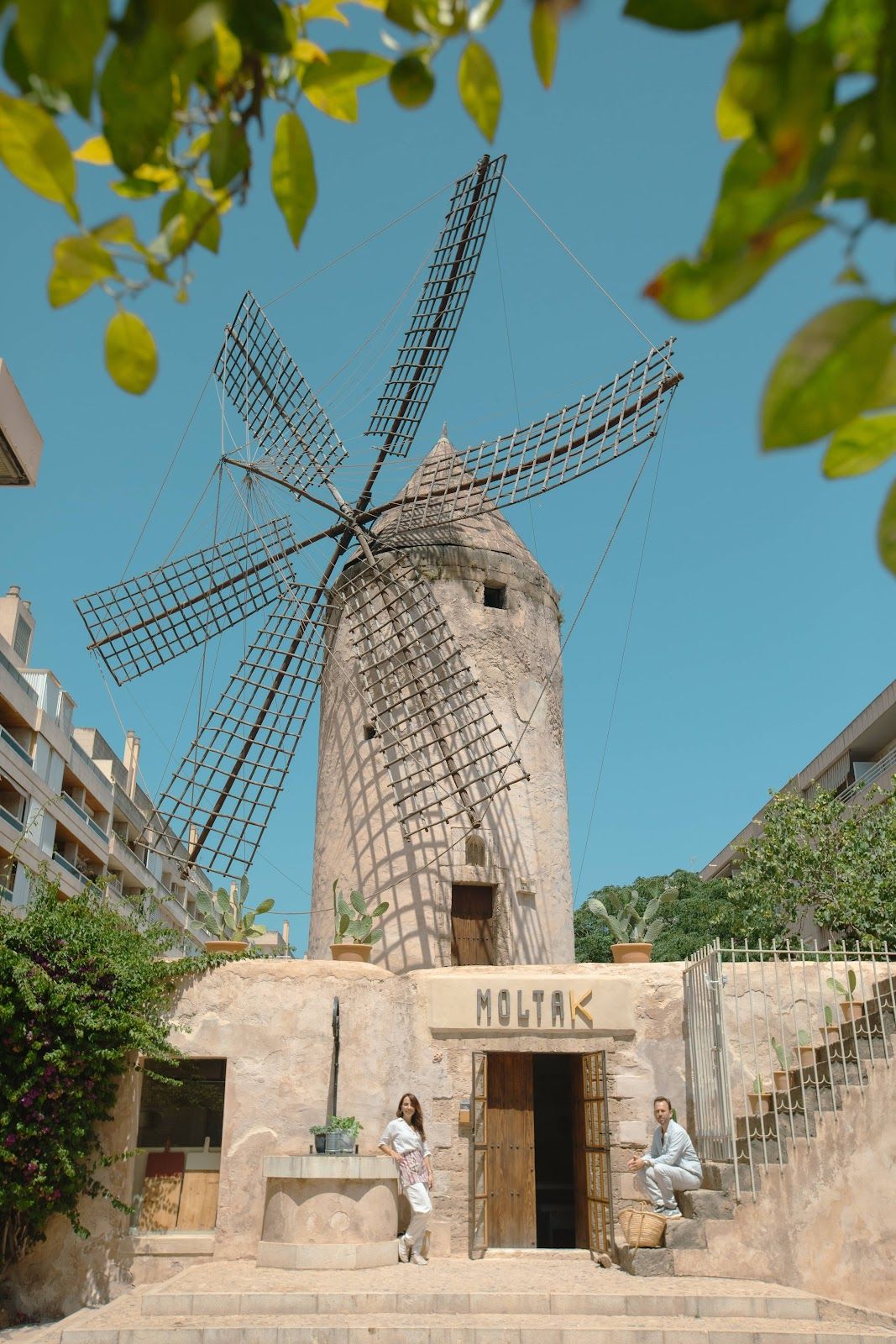 Moltak The Windmill Kitchen