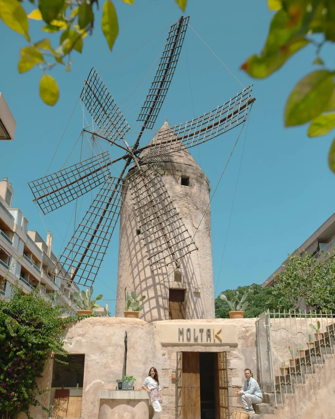 Moltak The Windmill Kitchen