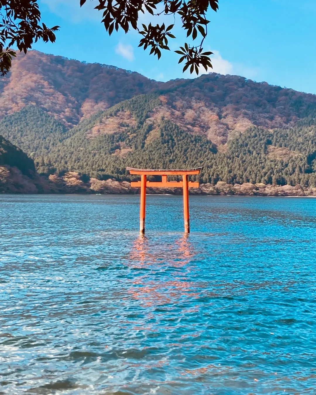 Torii Gate over water