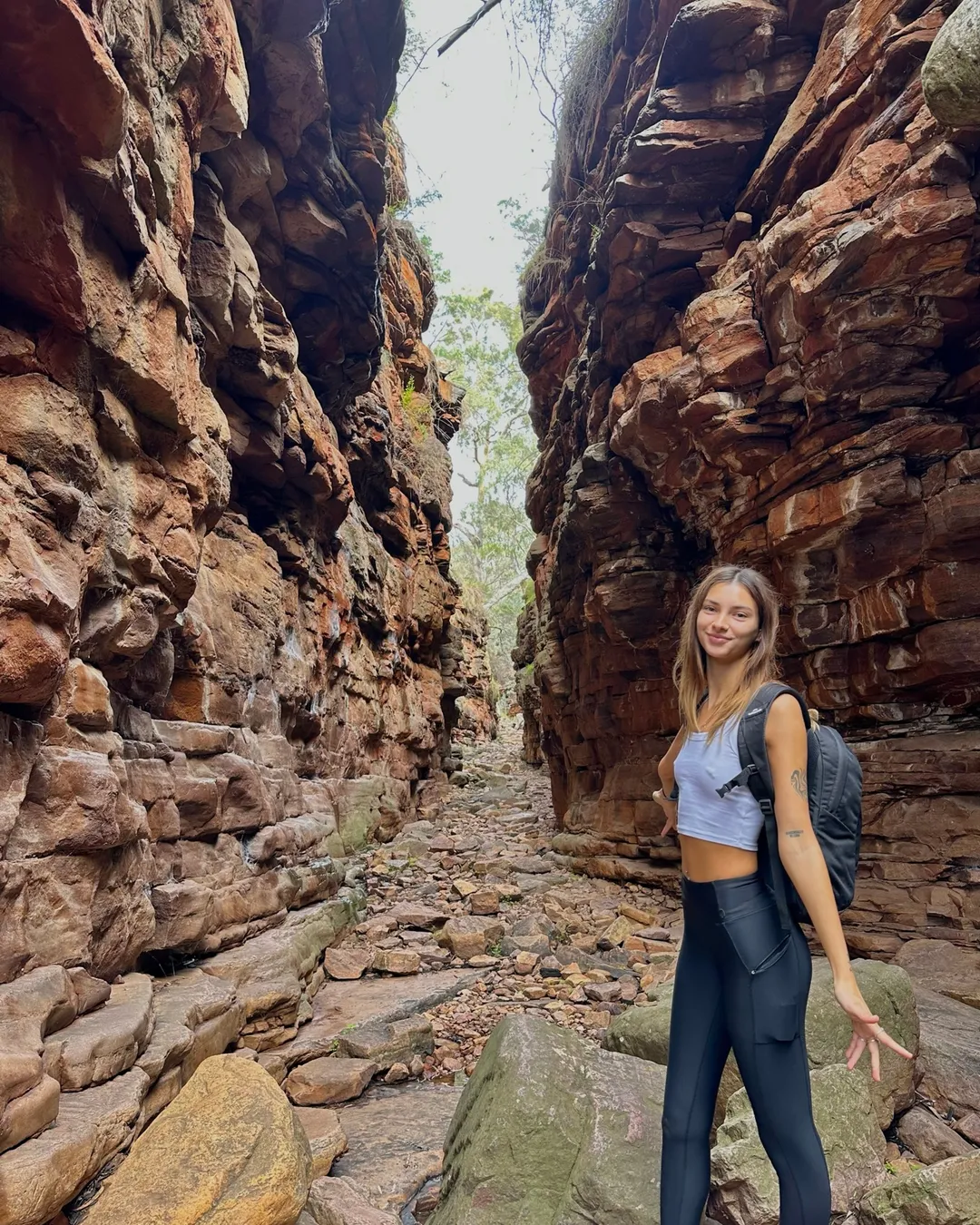 Alligator Gorge