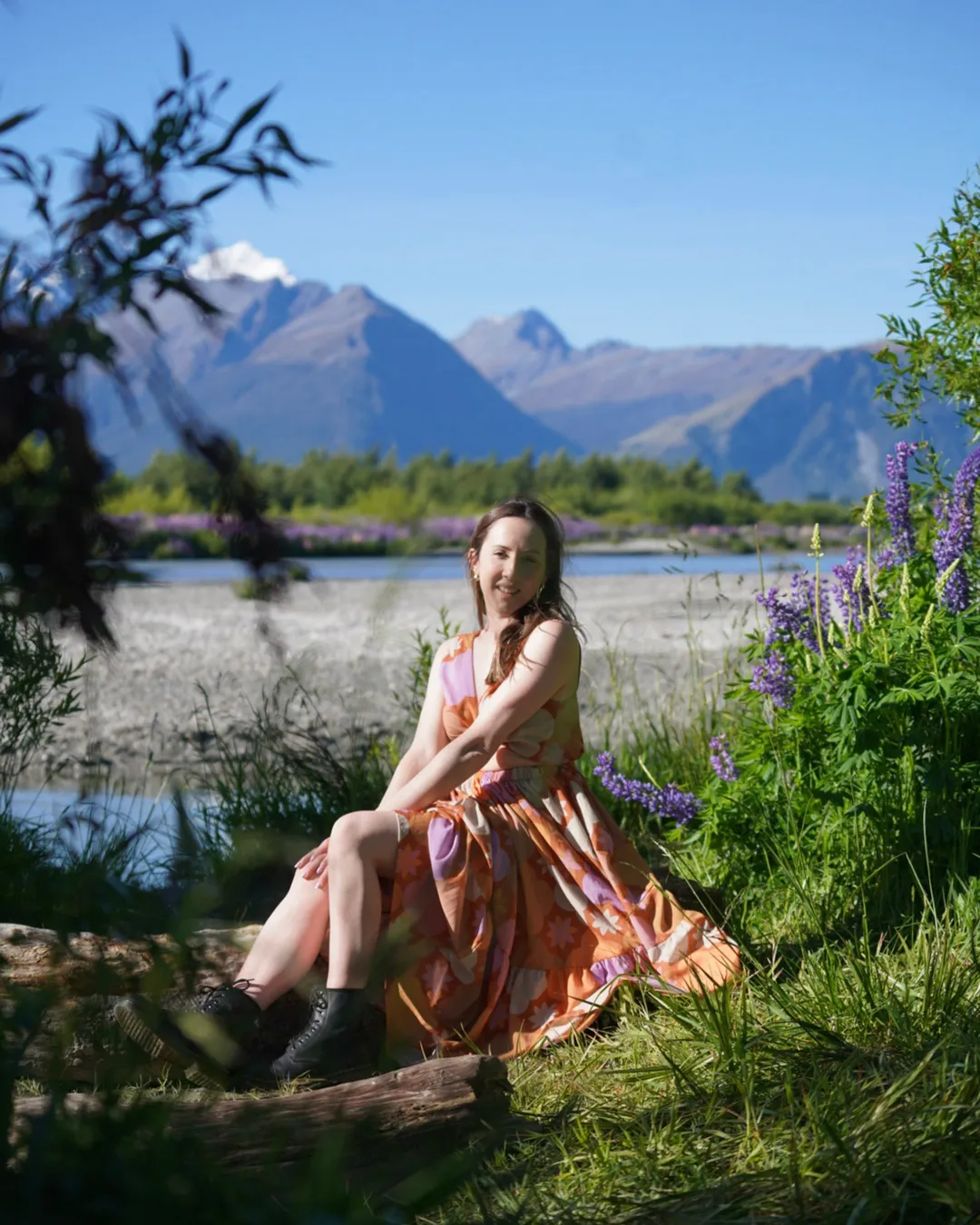 Glenorchy Lupin Photospot