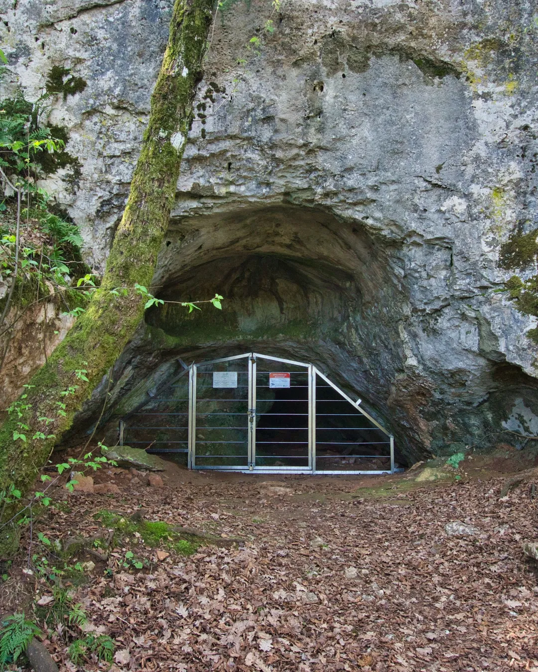 St. Romuald‘s Cave