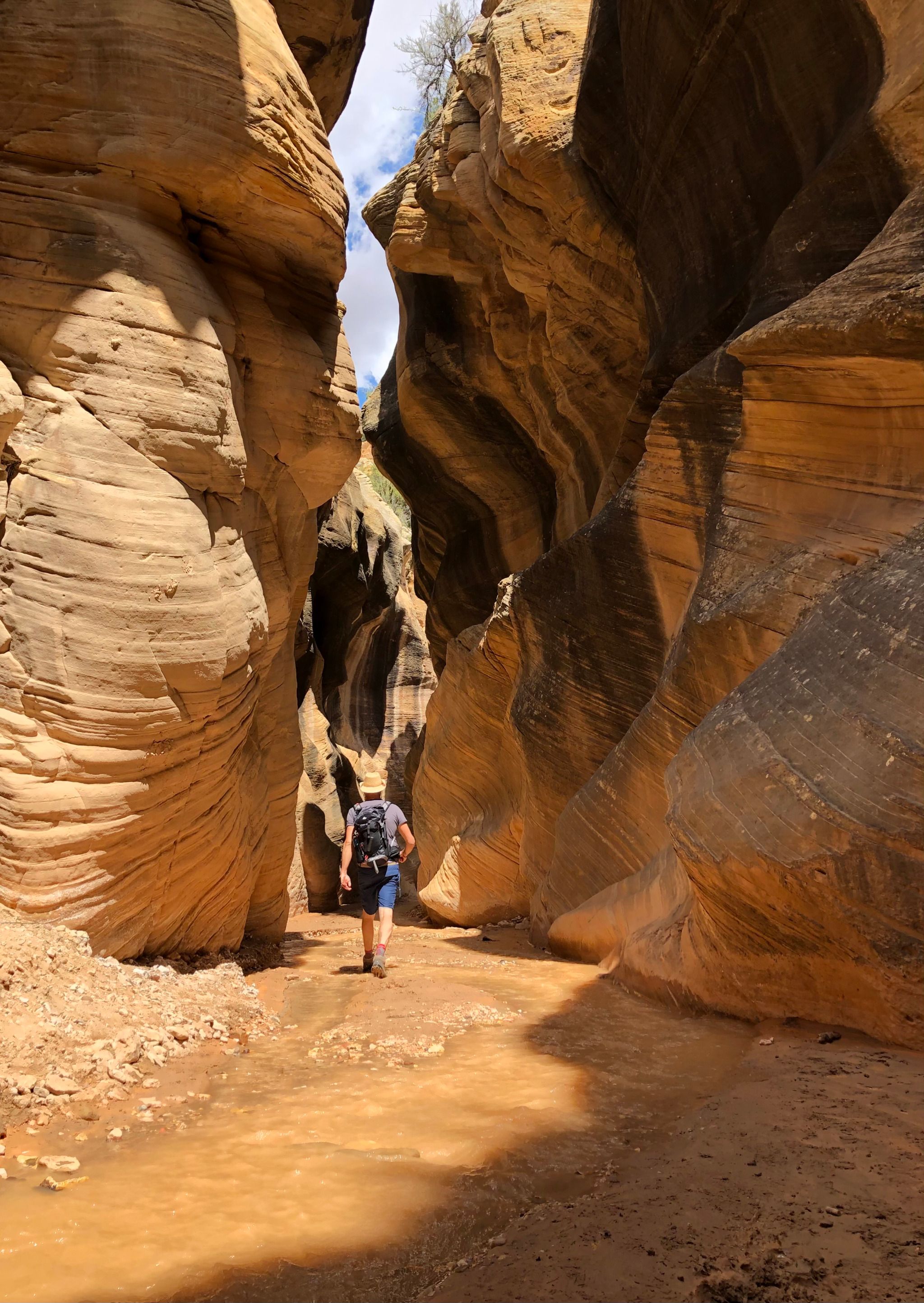Willis Creek Slot Canyon