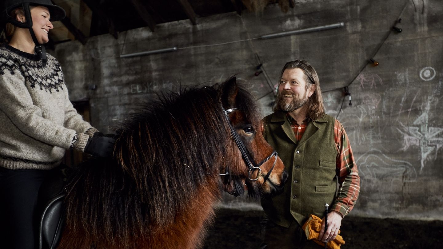 Mr Iceland - horseback riding tours