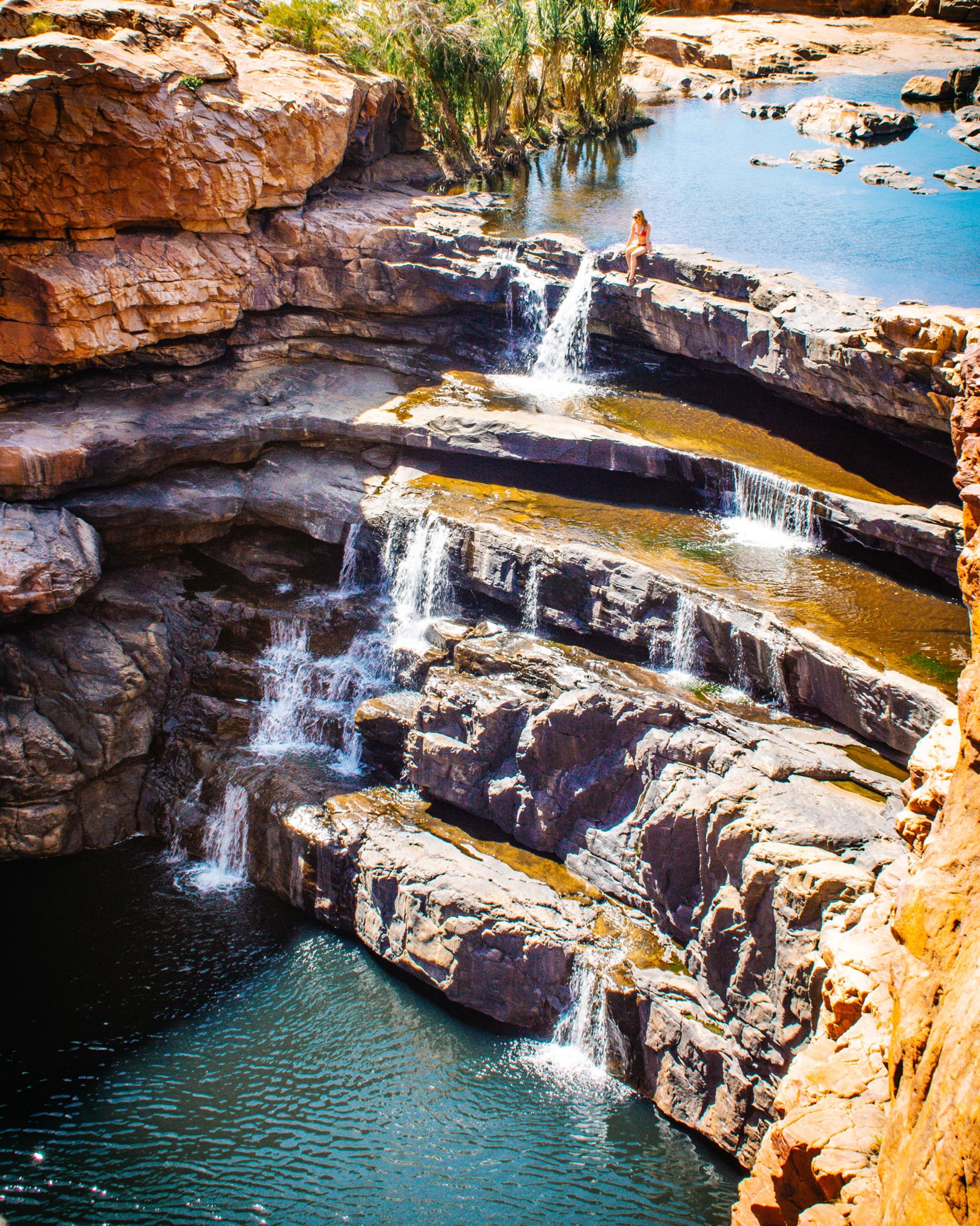 Dalmanyi (Bell Gorge)