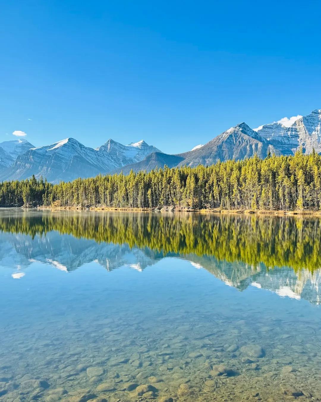 Herbert Lake