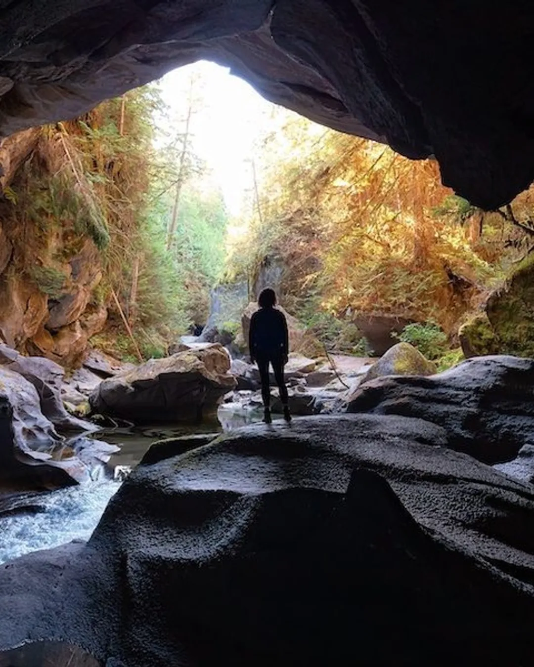 Little Huson Caves Regional Park