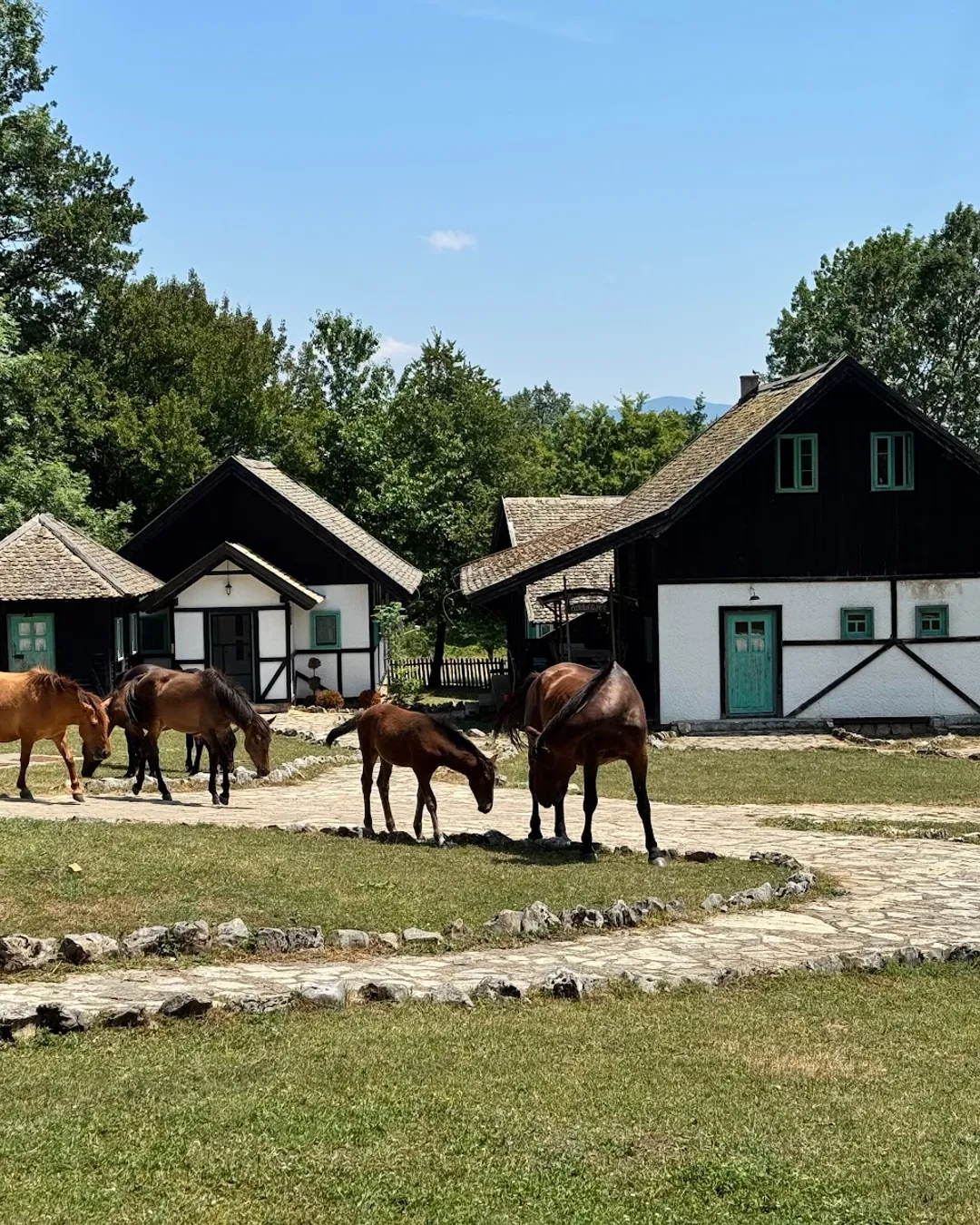 Etno Selo Čardaklije 