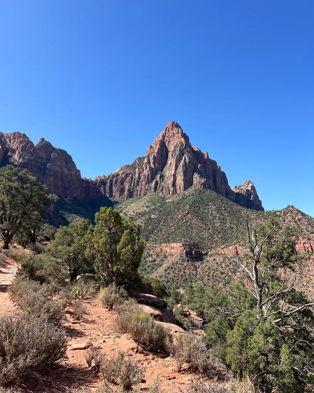 Watchman Trail 