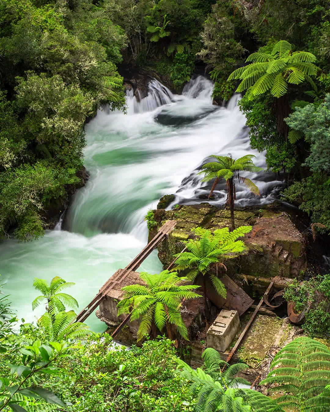 Okere Falls Track Rotorua