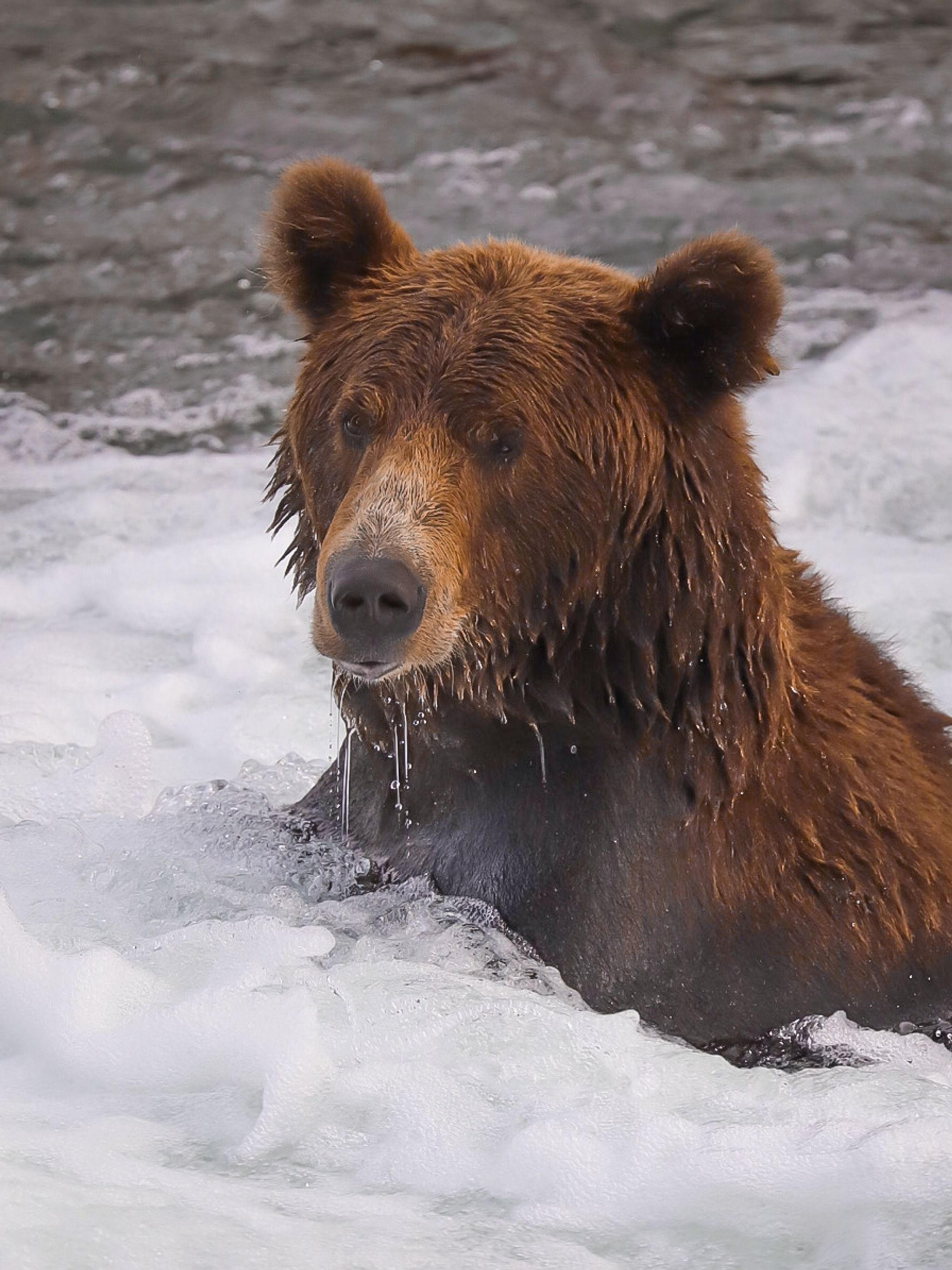 Katmai National Park and Preserve