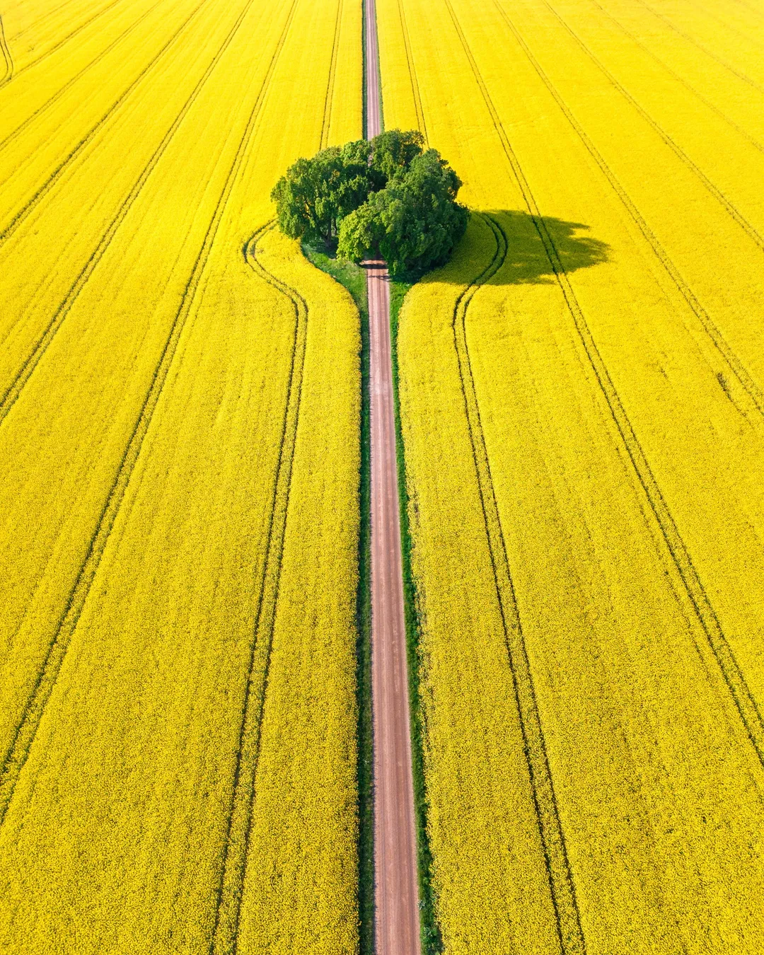 Viral Road (Ulvåsa slott)