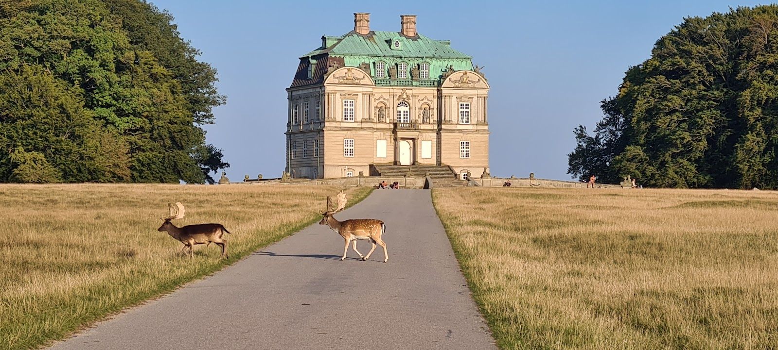 Jaegersborg Dyrehave