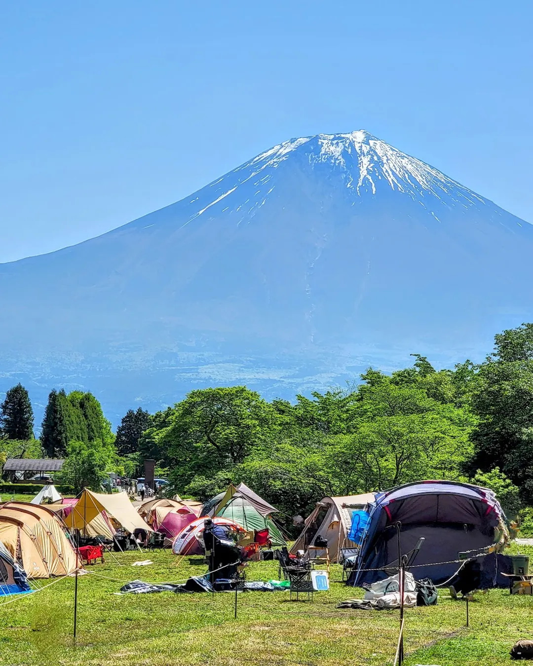 Lake Tanuki