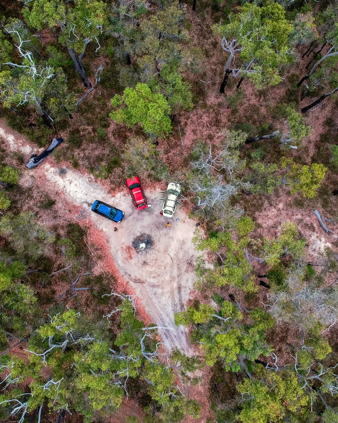 Canebrake Pool camping area