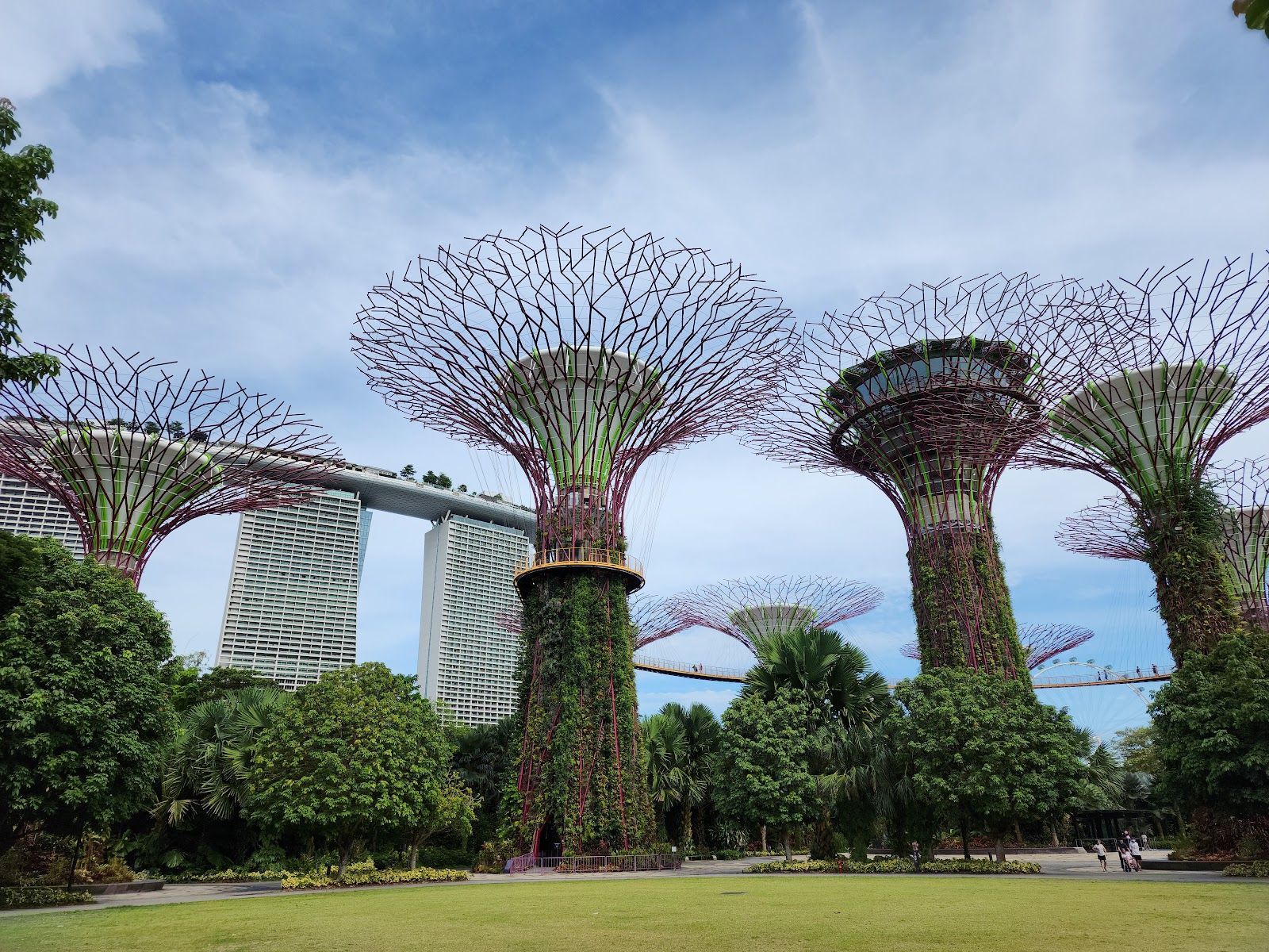 Supertree Grove