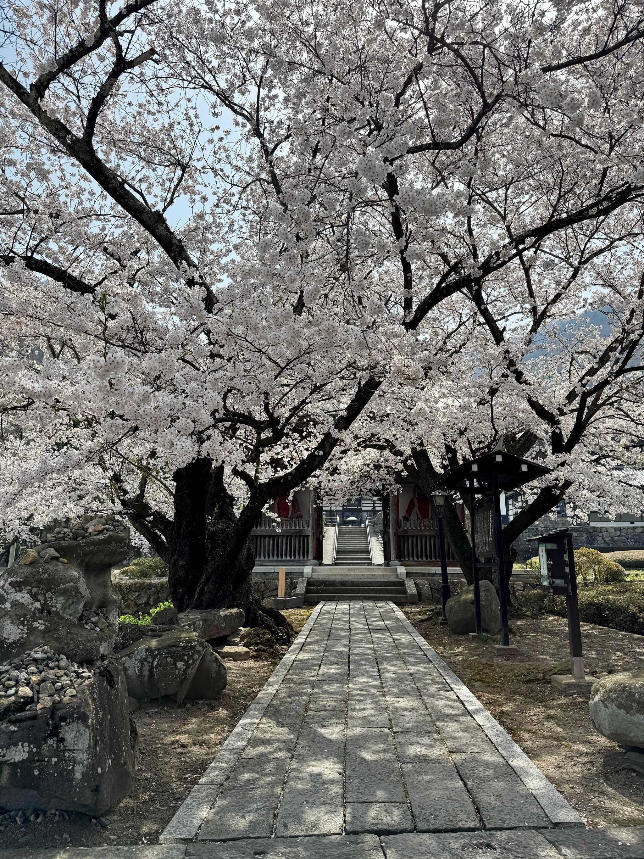 Gansho-in - Japan - Rexby