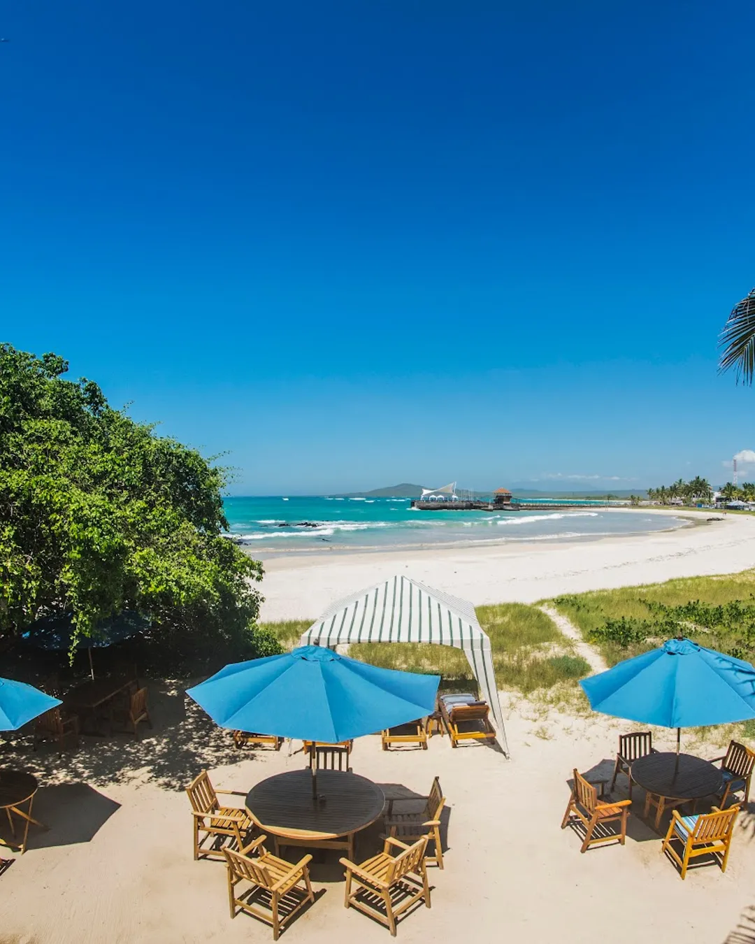 The Isabela Beach House - Galapagos, Ecuador - Rexby, image size:1080x1350