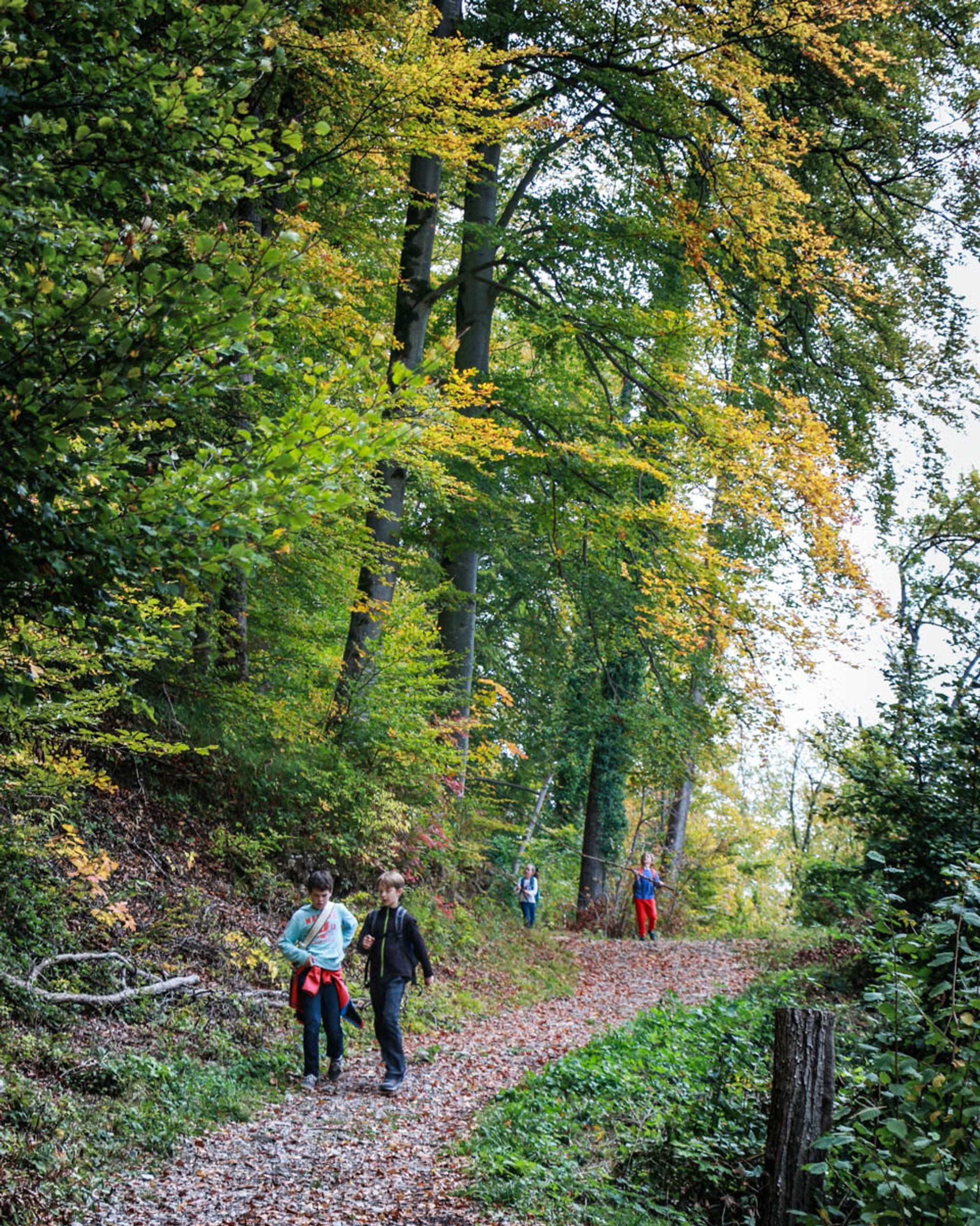 Quinten - October, Switzerland - Rexby
