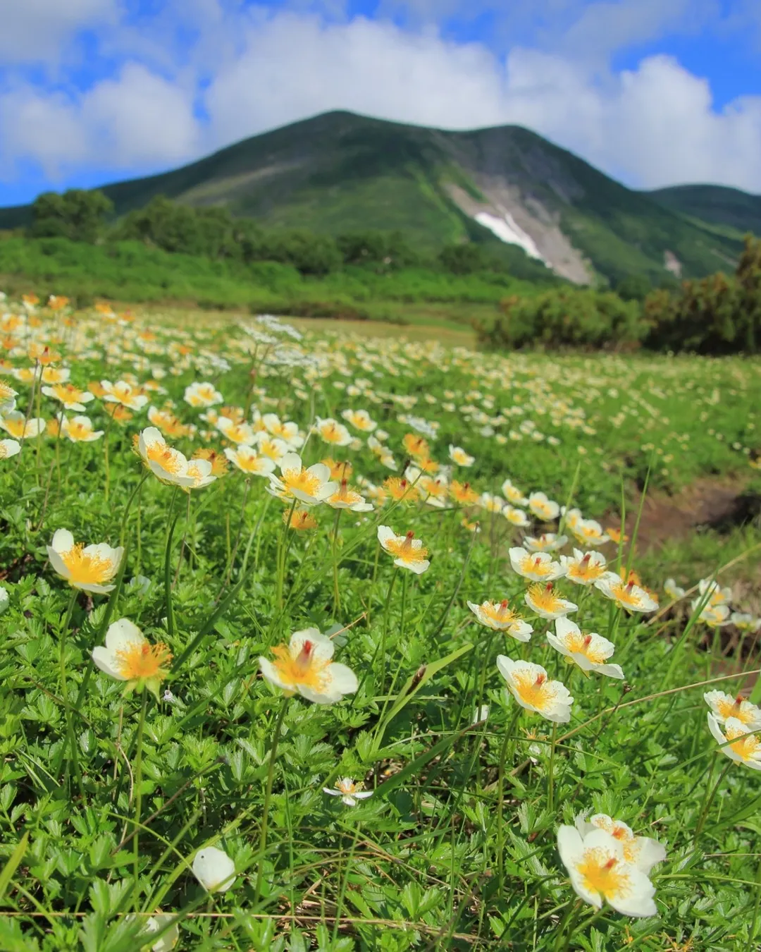 Asahidake