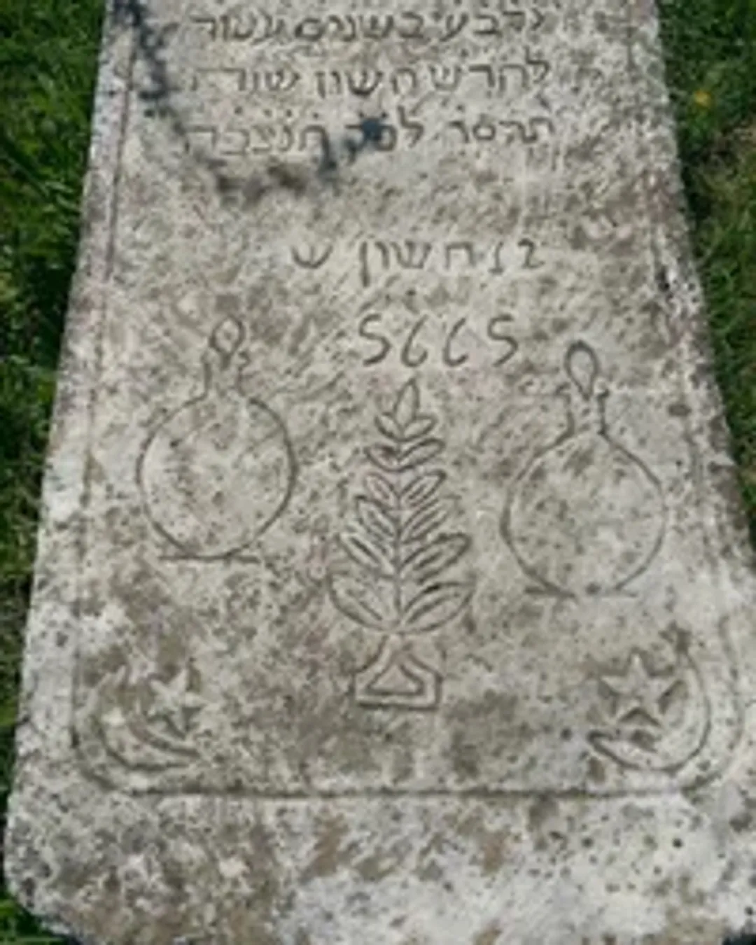 Prishtina - Jüdischer Friedhof und Taukbahqes-Park