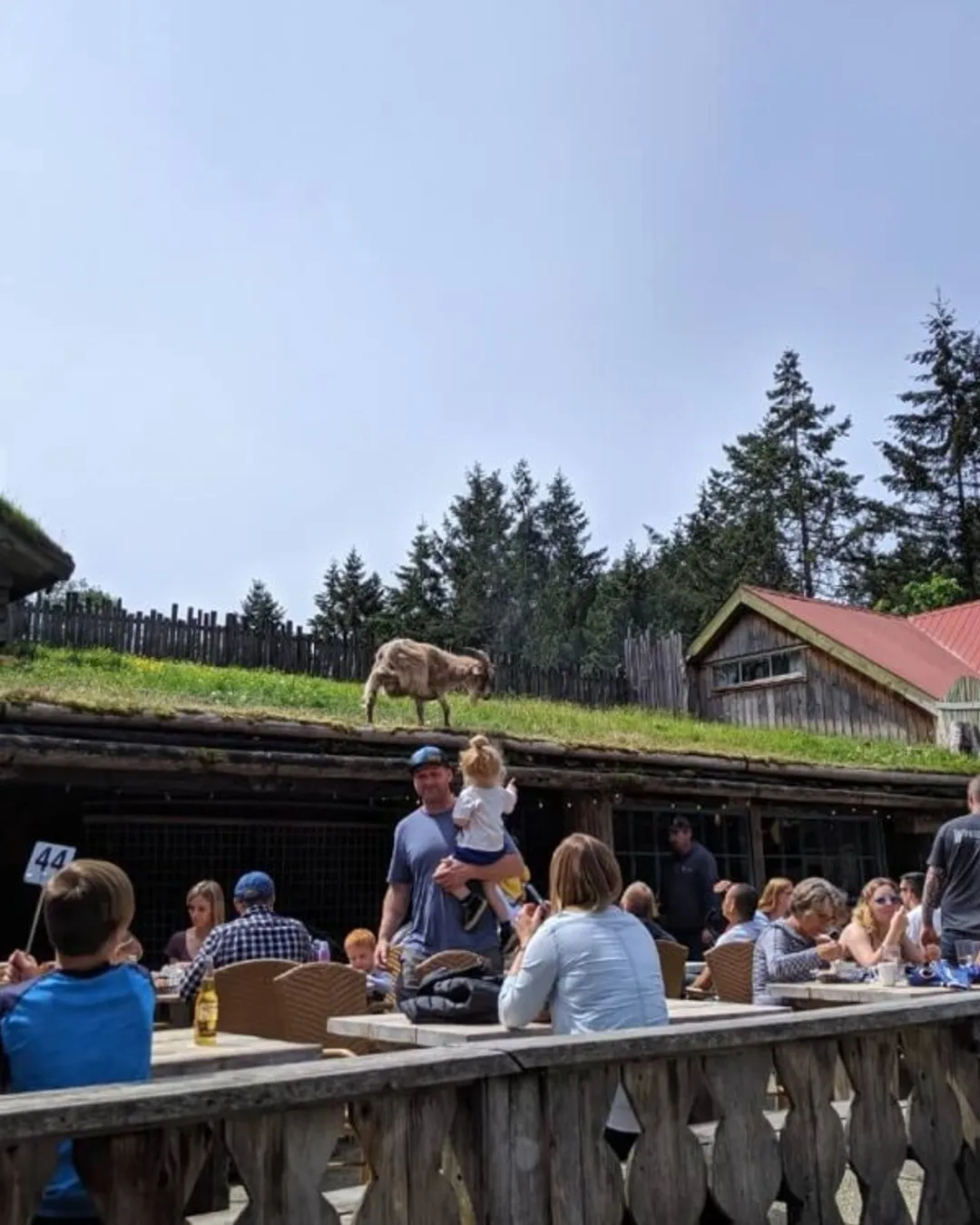 Old Country Market - Goats on Roof