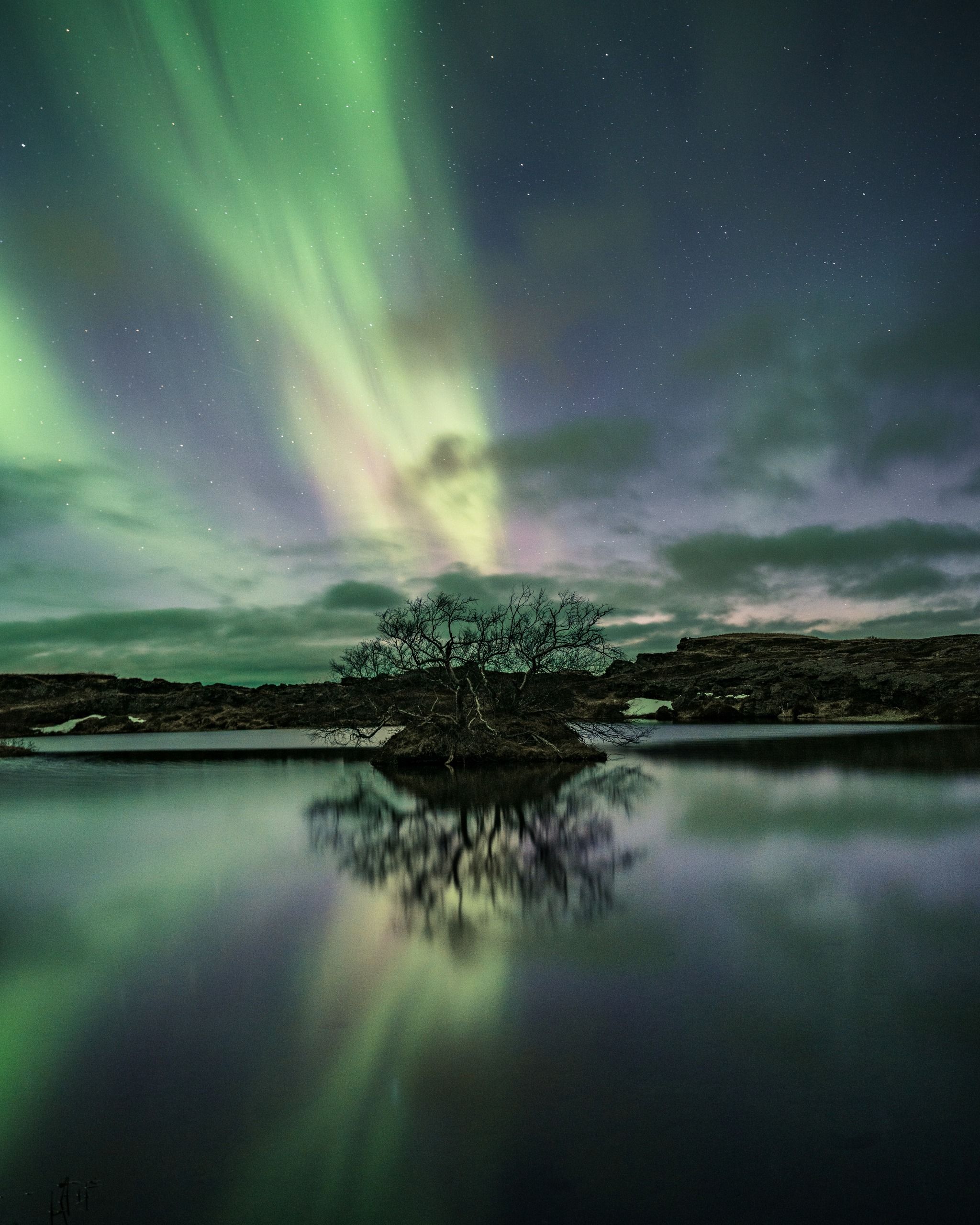 Lonely tree in small island with water reflection