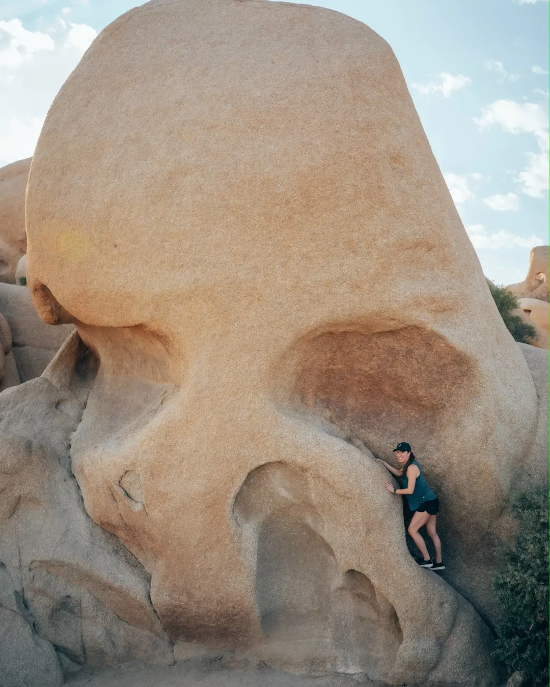 Skull Rock Trail