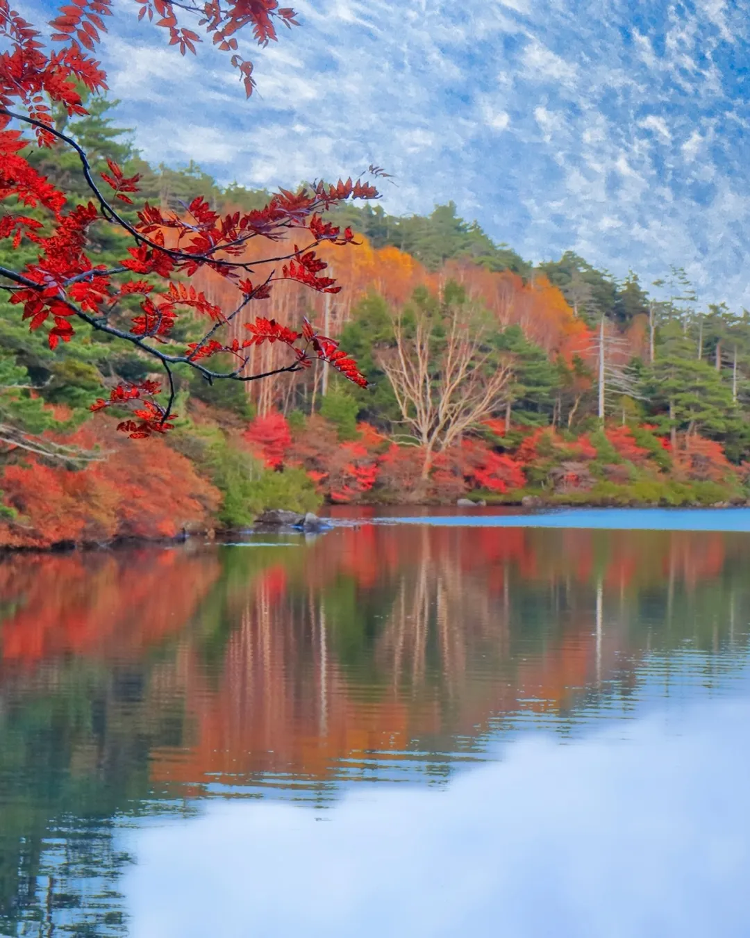 Mononoke Forest and Shirakoma Pond