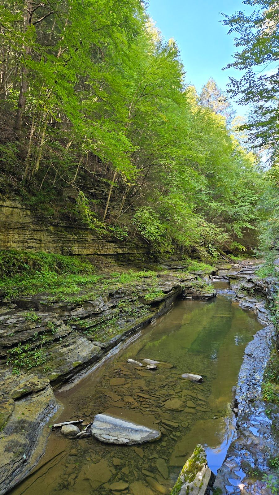 Peak Foliage at Watkins Glen Gorge