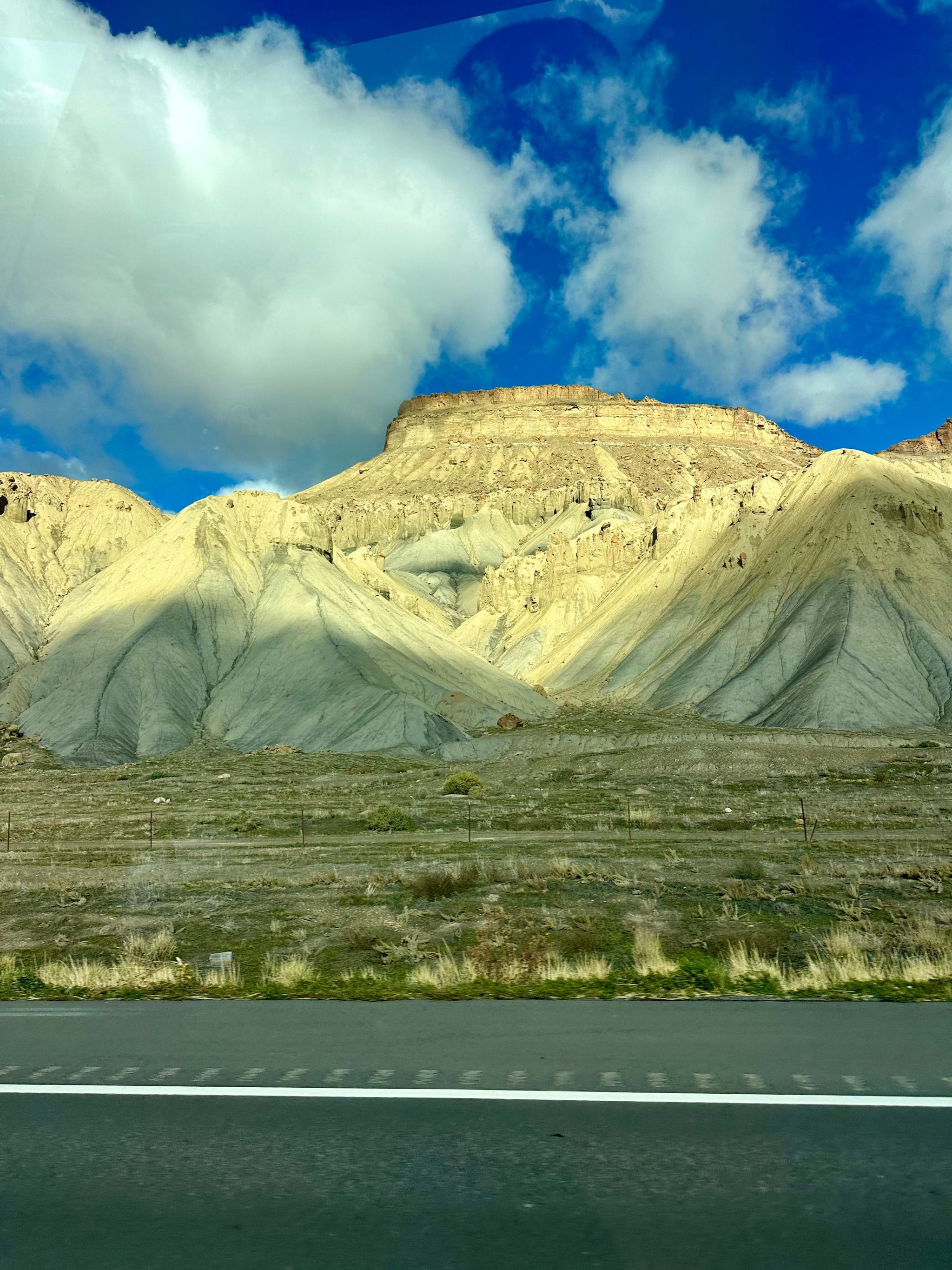 Palisade