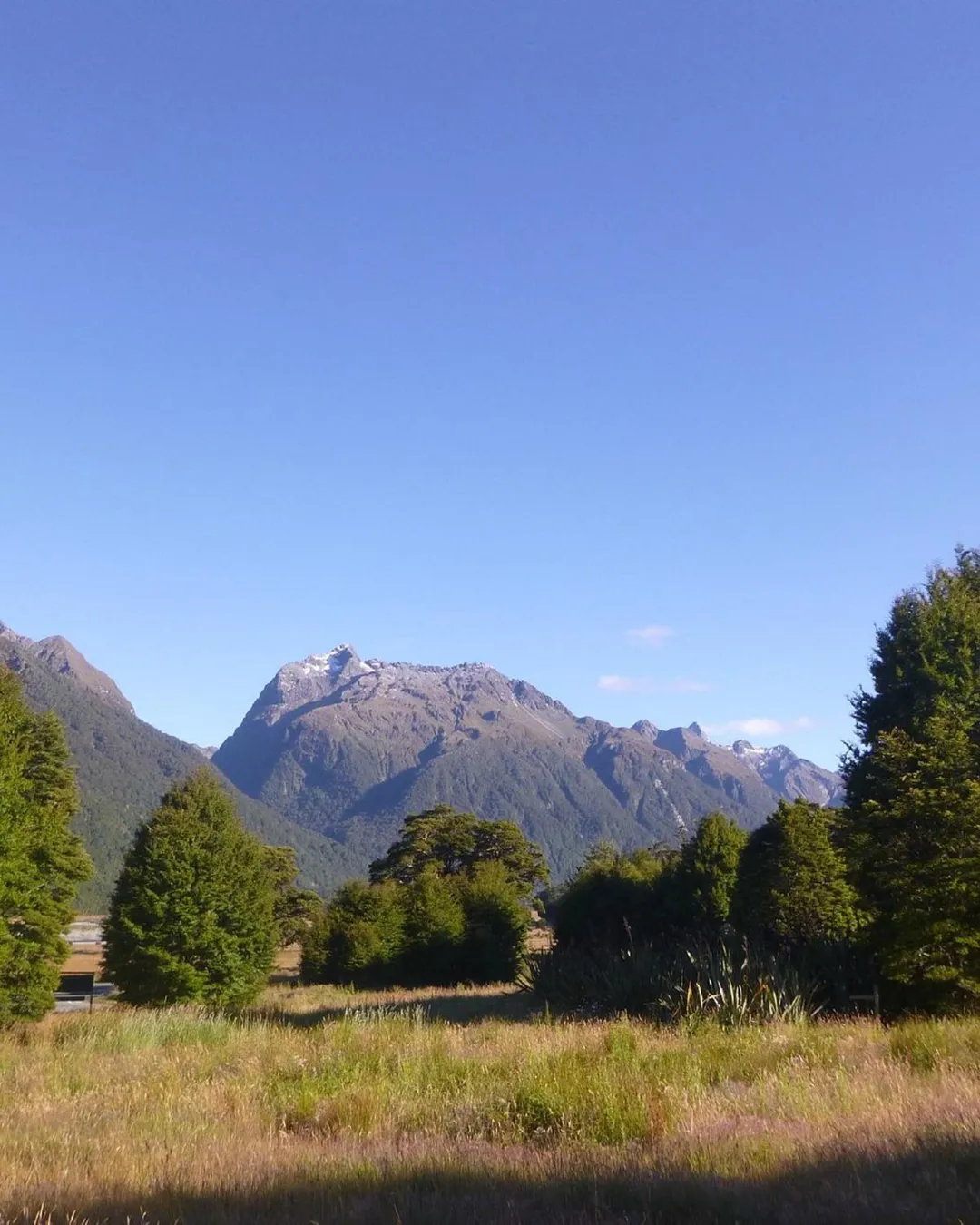 Knobs Flat