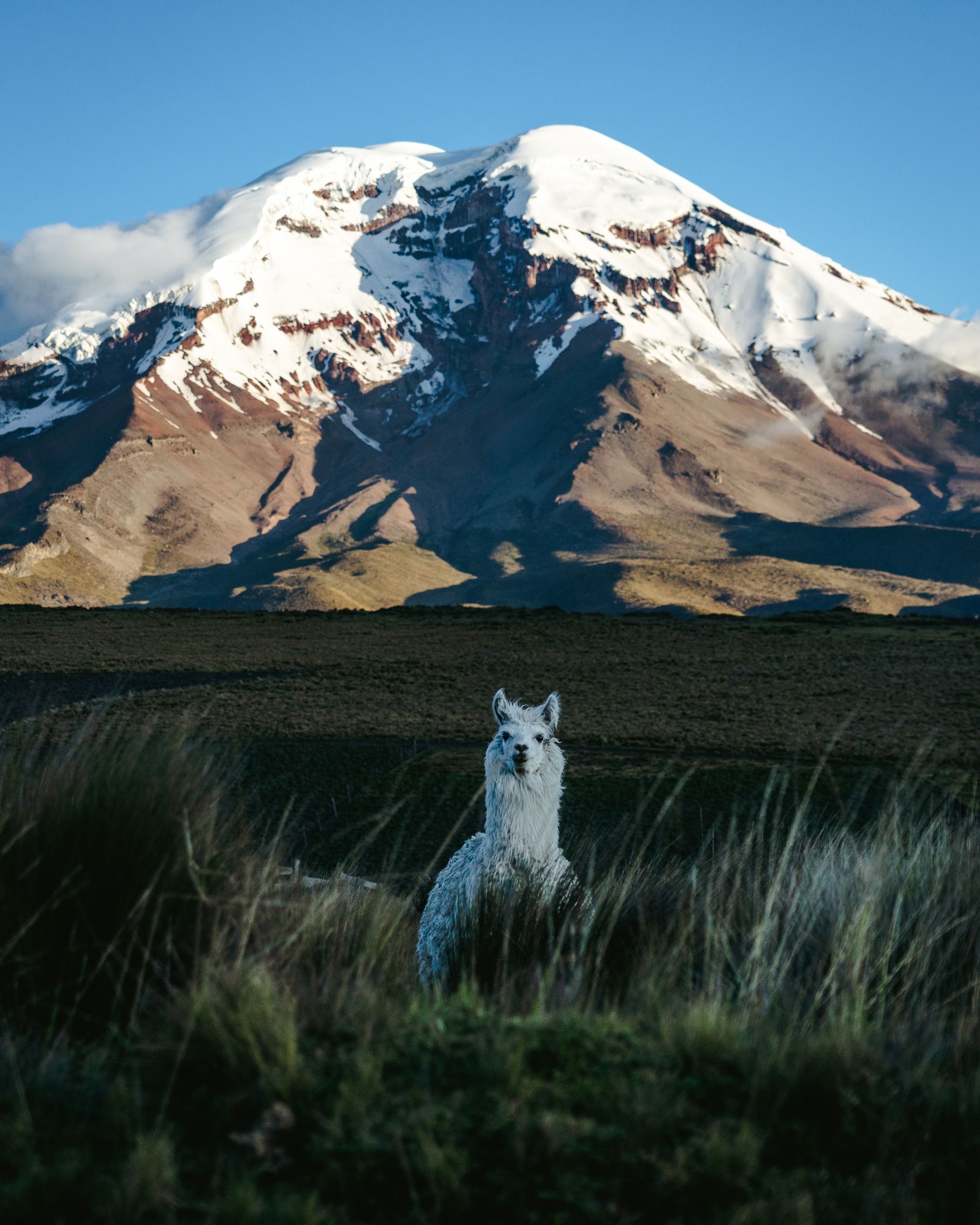 Chimborazo Volcano