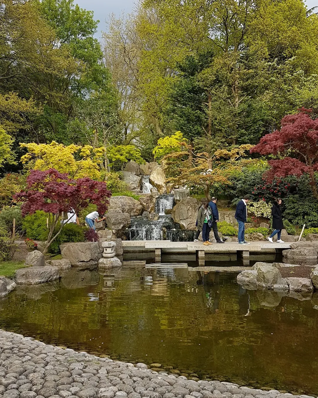 Kyoto Garden