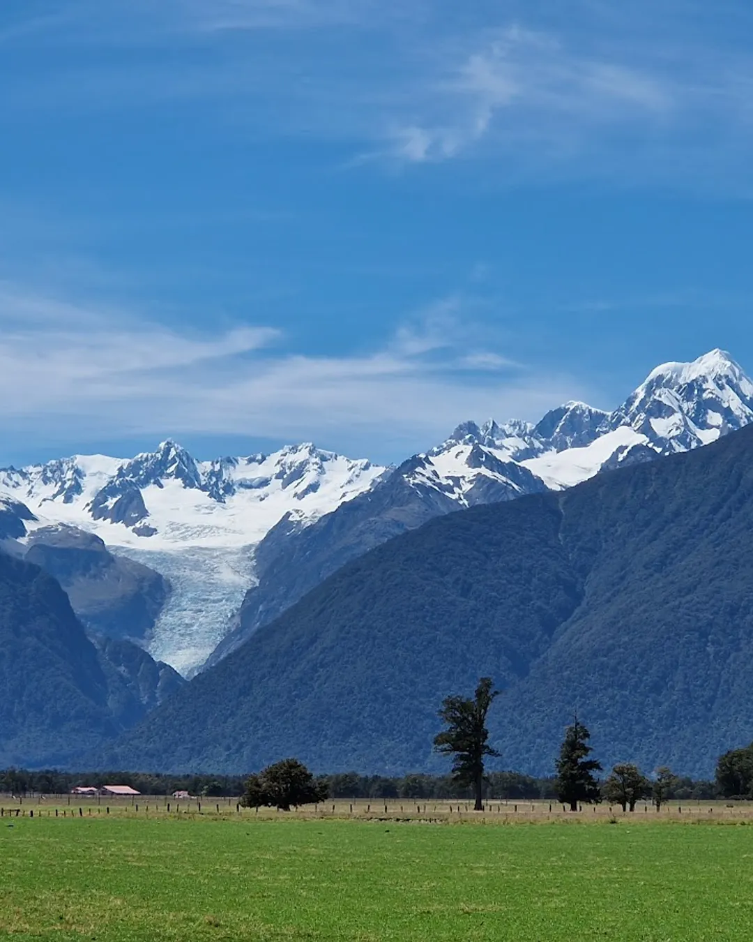 Fox Glacier Lookout - New Zealand - Rexby, image size:1080x1350