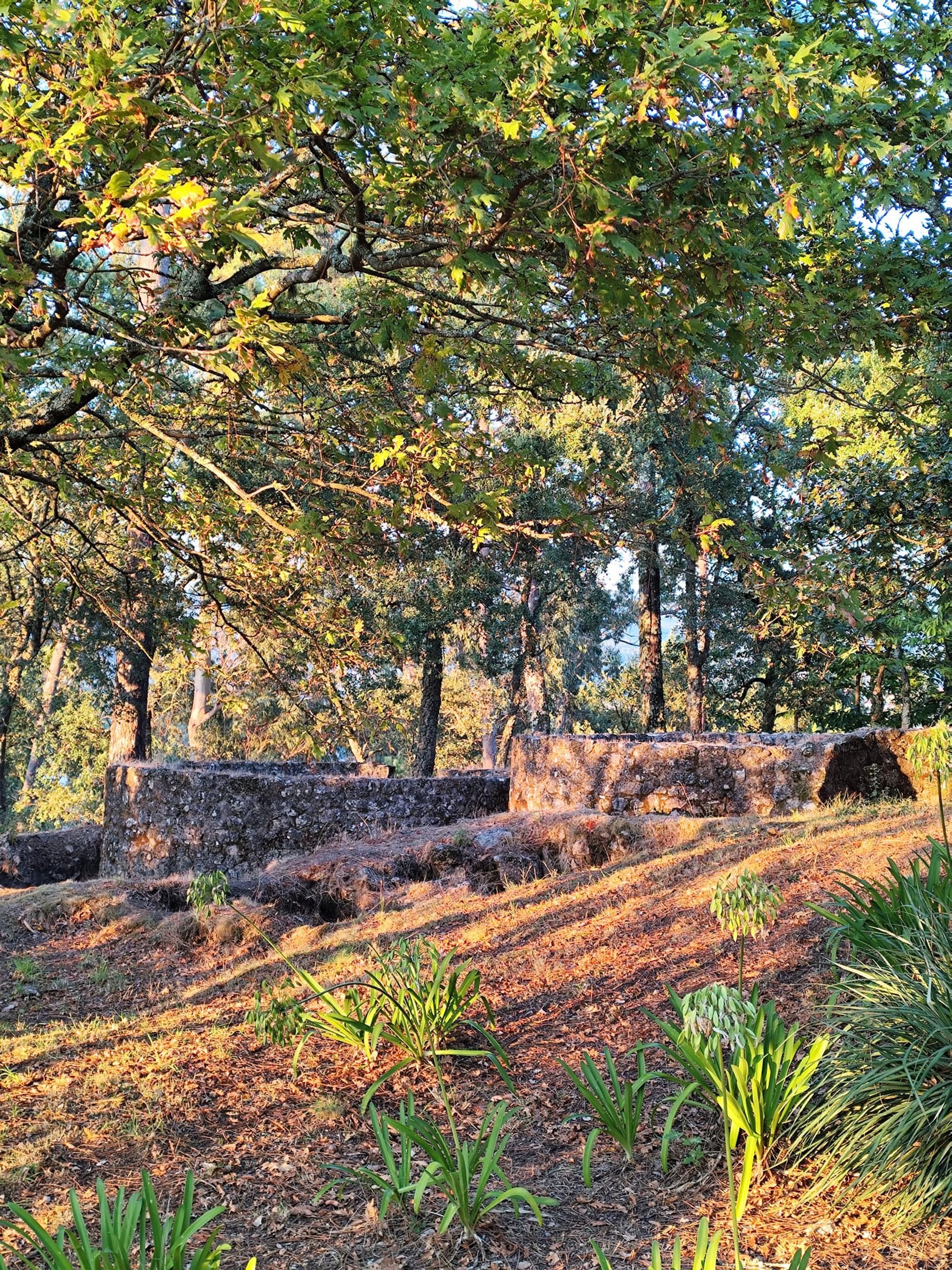 Castro do Senhor dos Desamparados