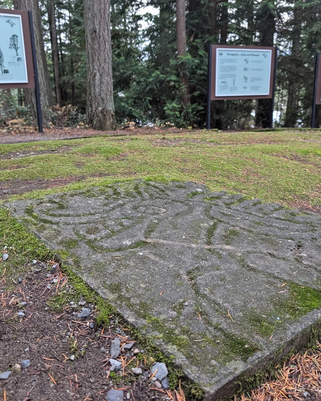 Petroglyph Provincial Park