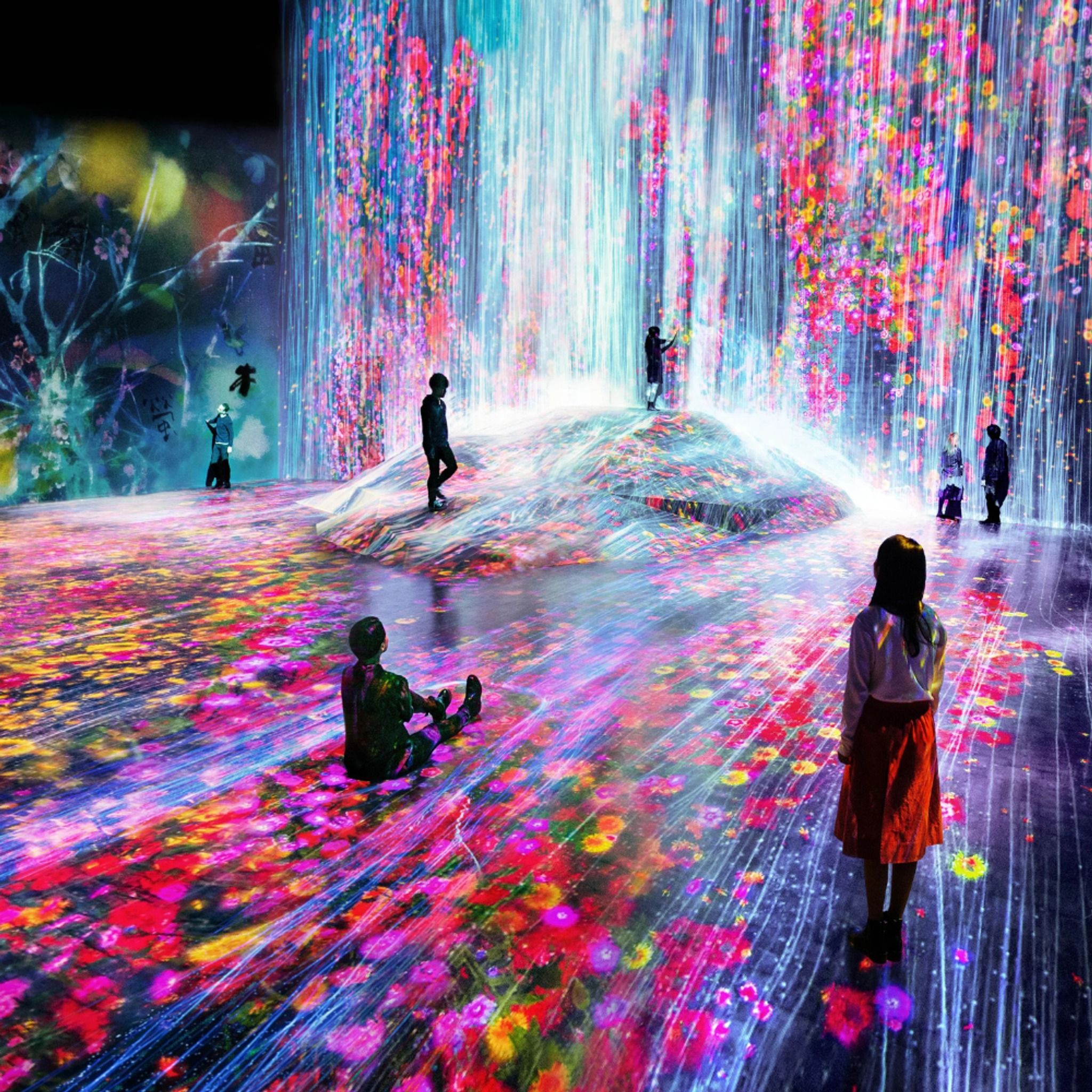 teamLab Borderless MORI Building DIGITAL ART MUSEUM