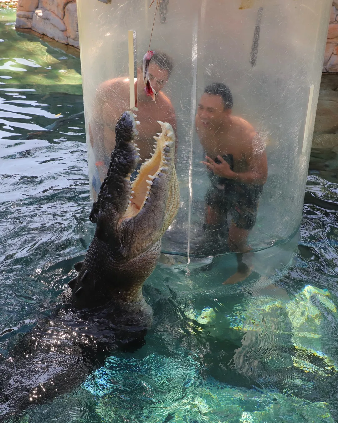 Crocosaurus Cove