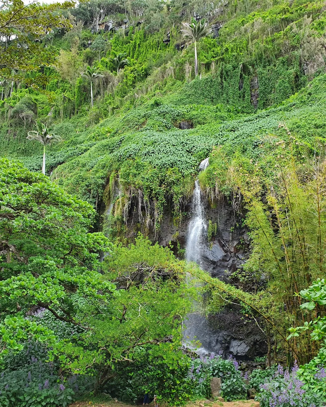 Anse des Cascades
