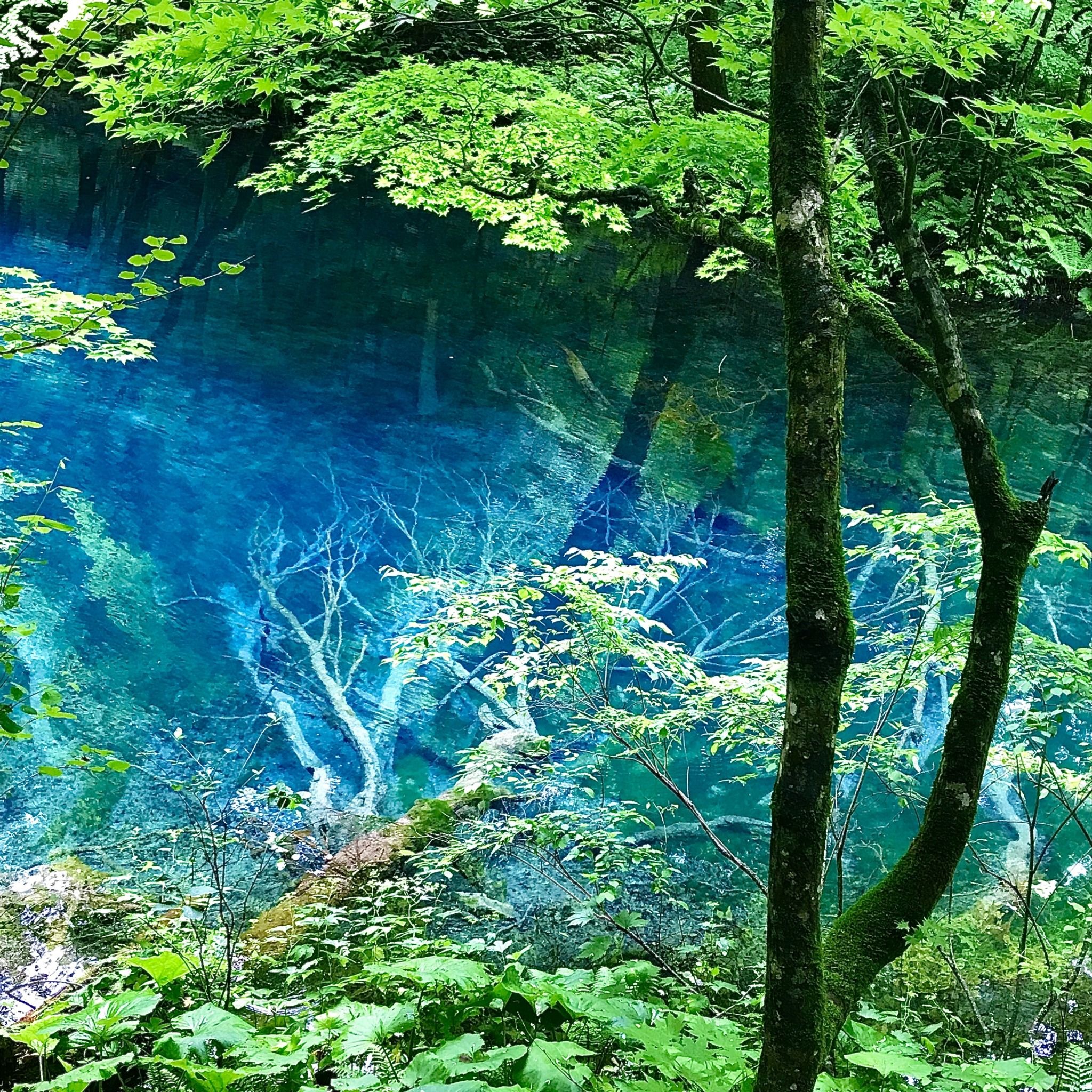 Lake Jūniko - Rural Travels, Japan - Rexby