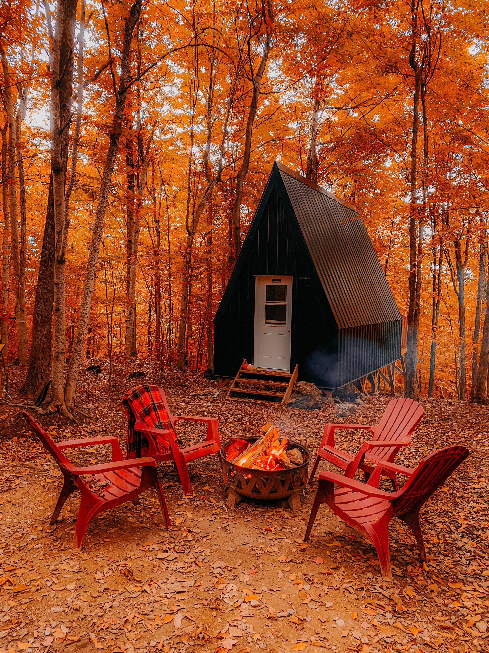 Station Chêne Rouge : Glamping en Nature 