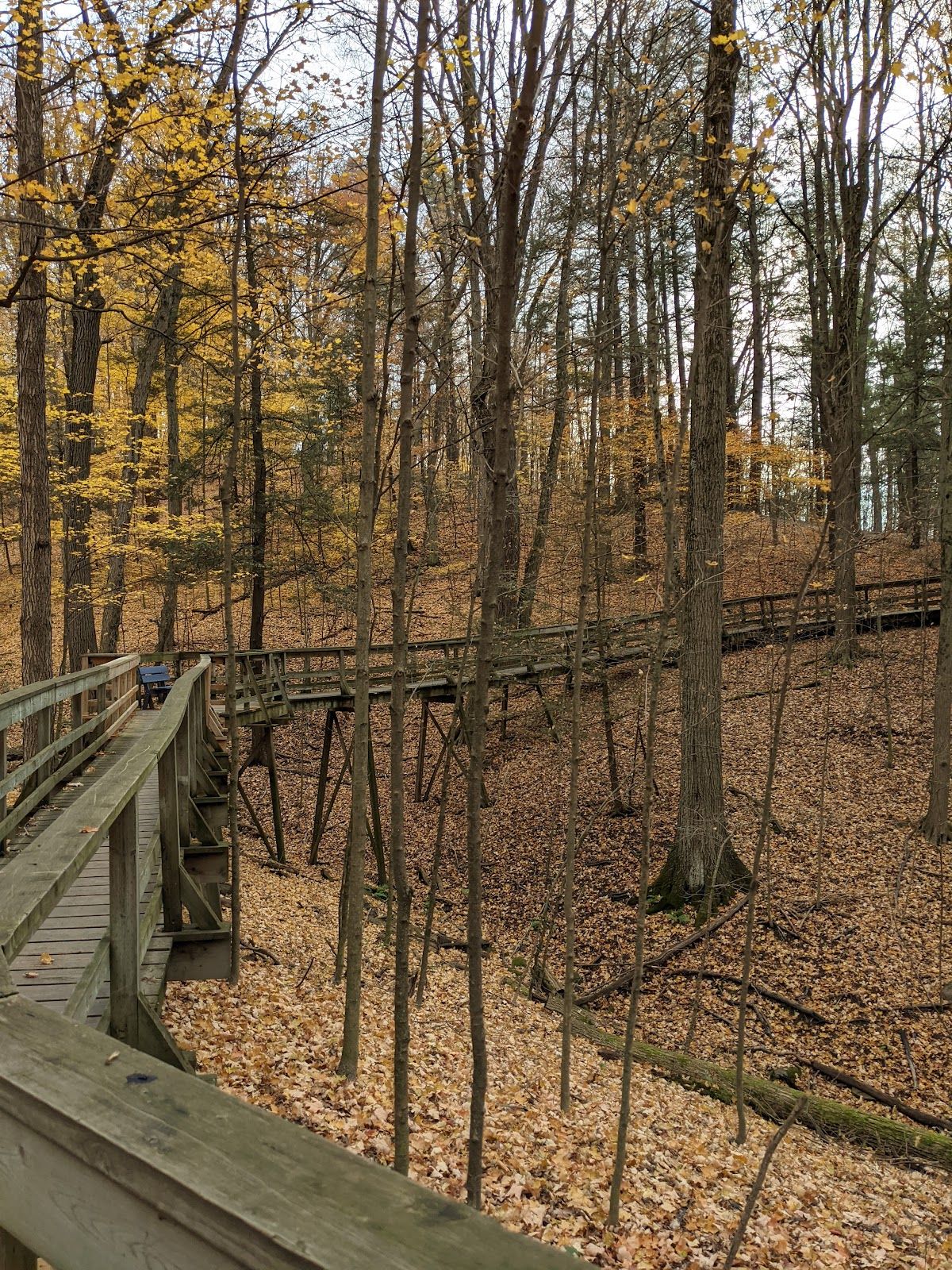 Kortright Centre for Conservation