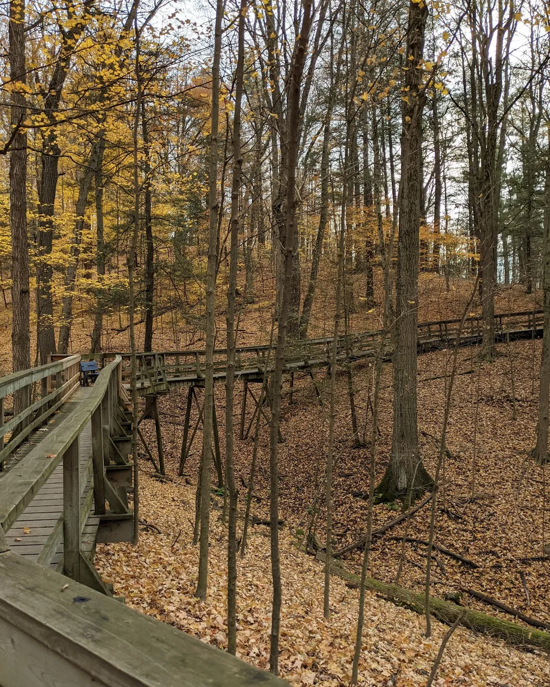 Kortright Centre for Conservation