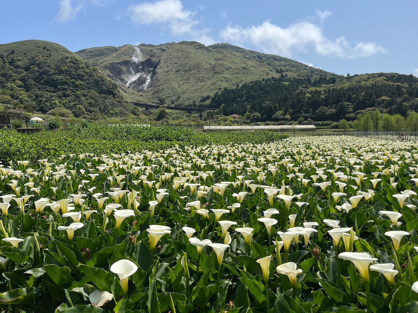 Yangmingshan National Park