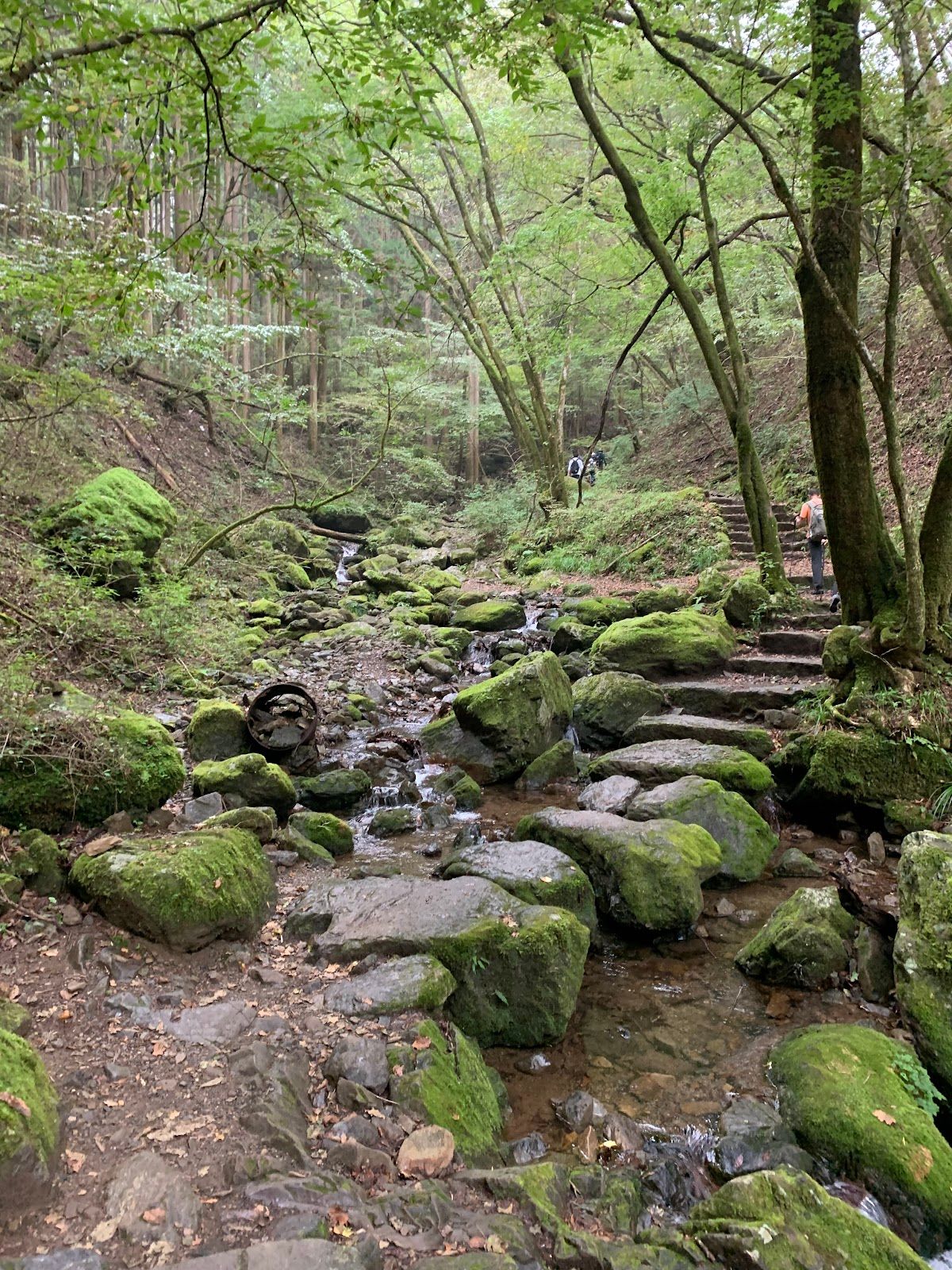 Mount Mitake