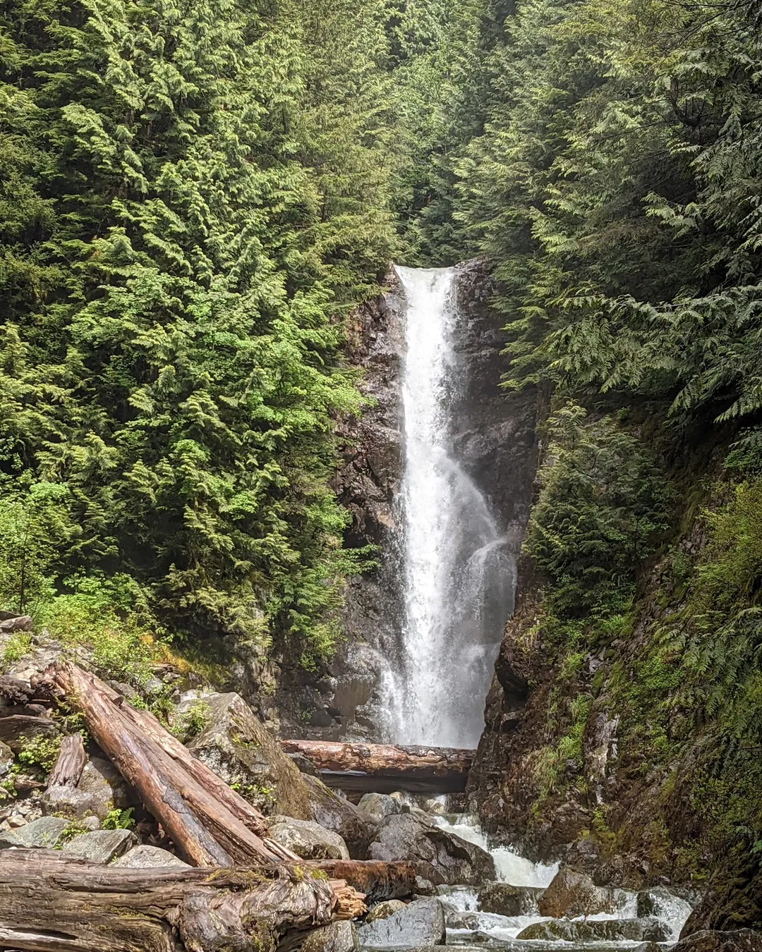 Lynn Headwaters Regional Park