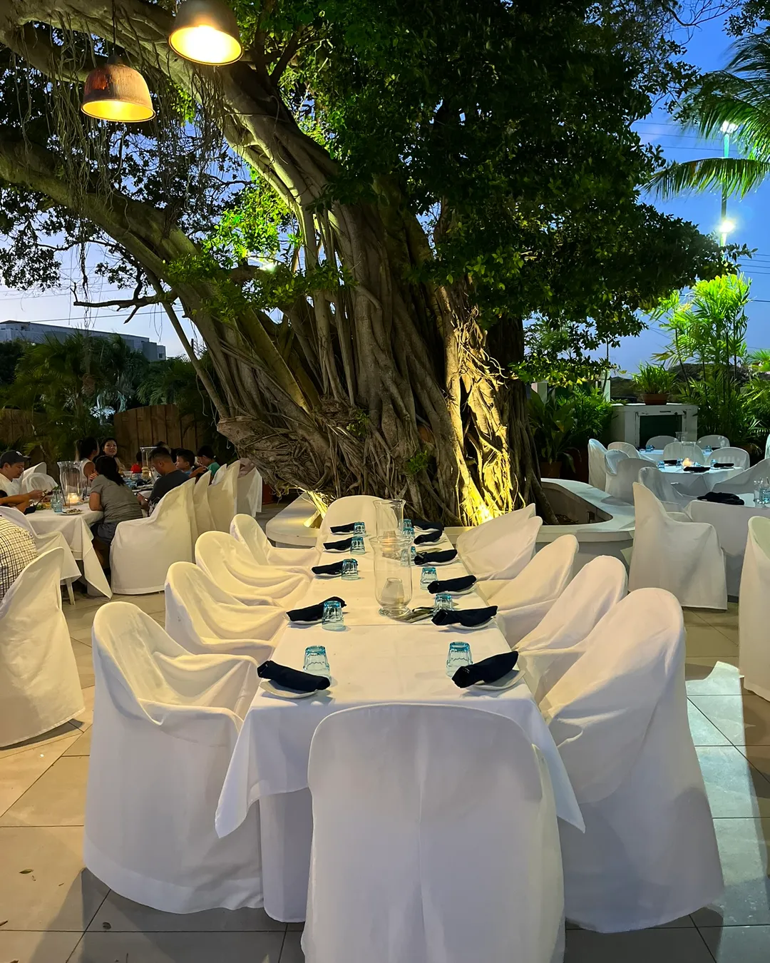 Papiamento Restaurant - Aruba - Rexby, image size:1080x1350